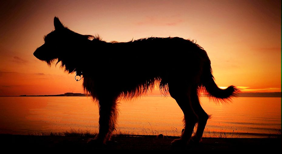 Abendrot vor Hiddensee a