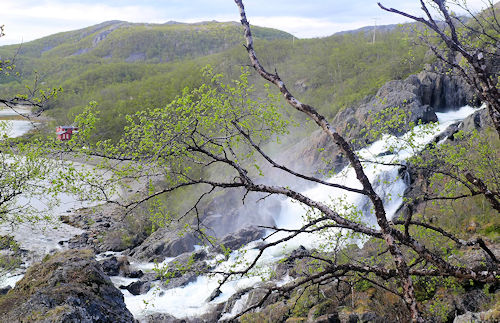 Adamsfjordfossen 4