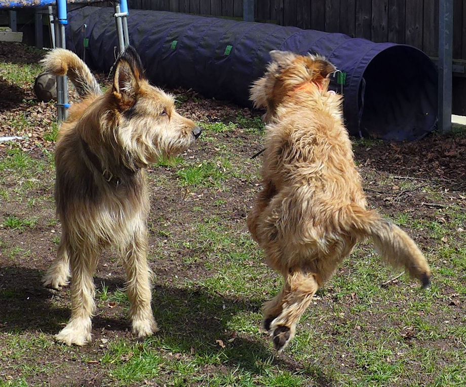 Biquette Begr��ung 7a