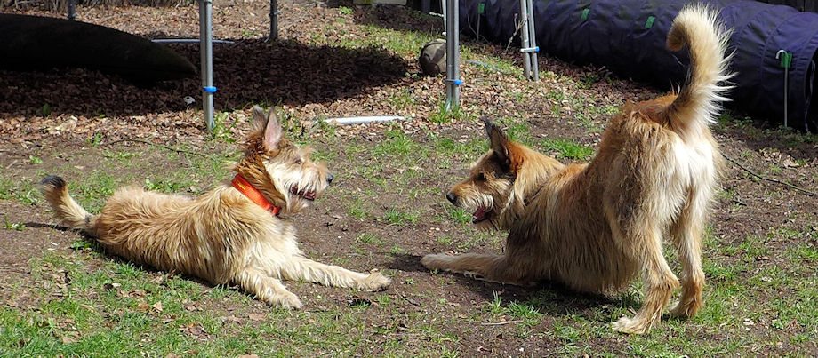 Biquette Begr��ung 8a