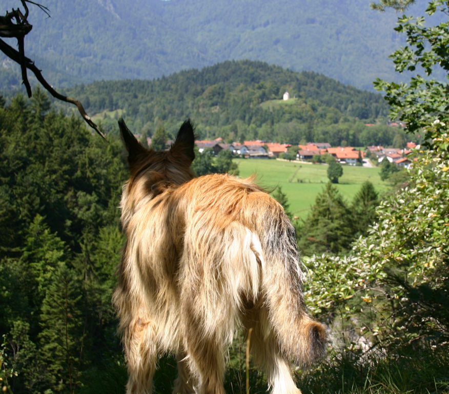 Blick auf Eschenlohe a