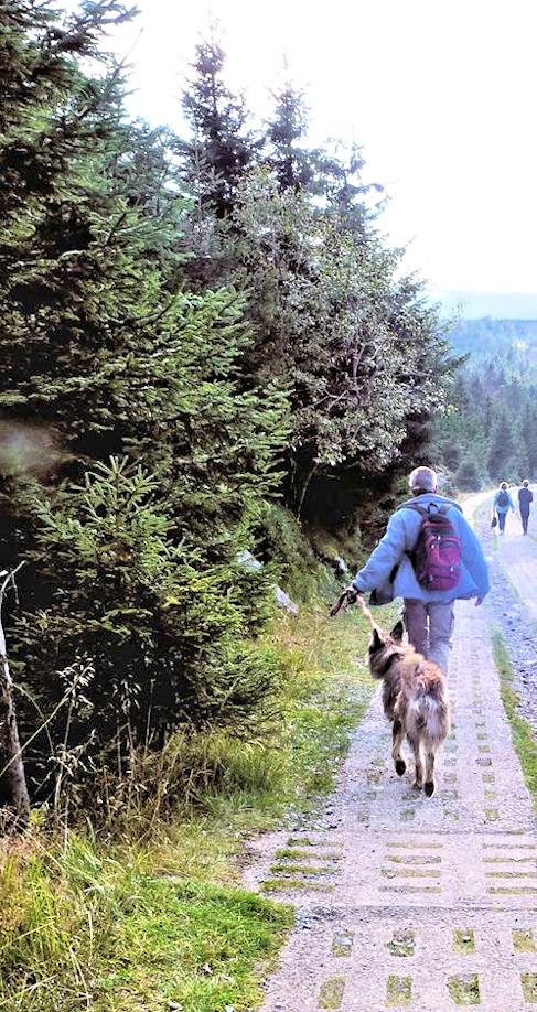 Brocken 8, das gr�ne Band a1a