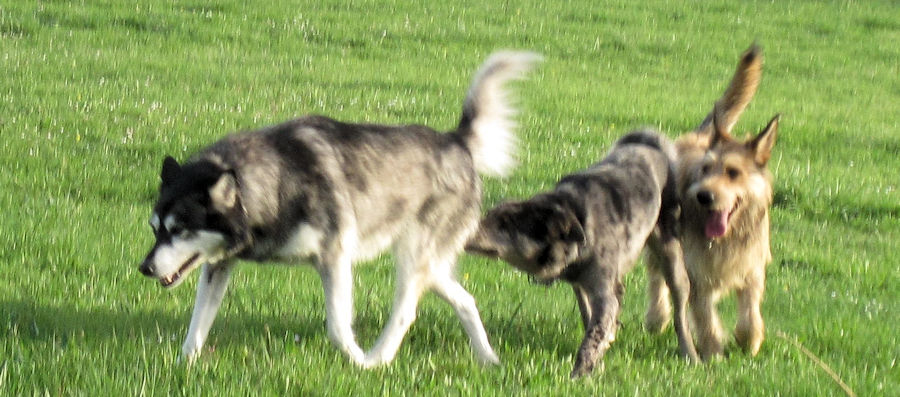 Fr�hlingsgef�hle2 a