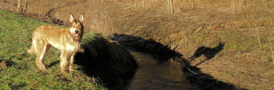 Fr�hlingsgef�hle a