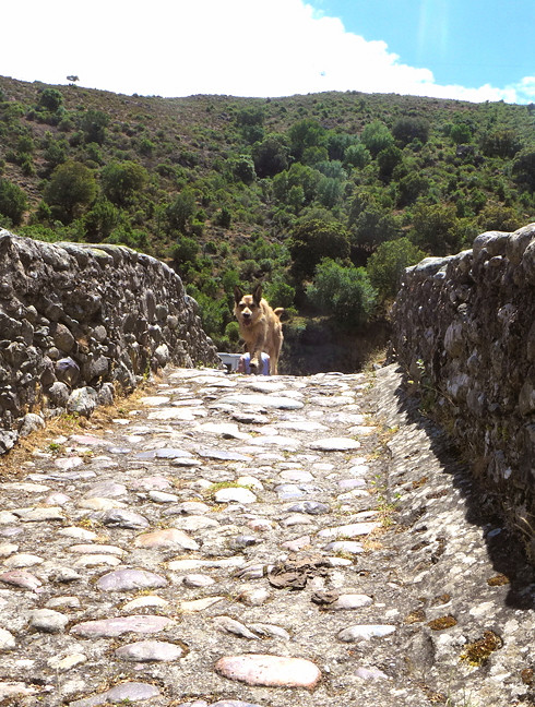 Genuesenbr�cke T-2a