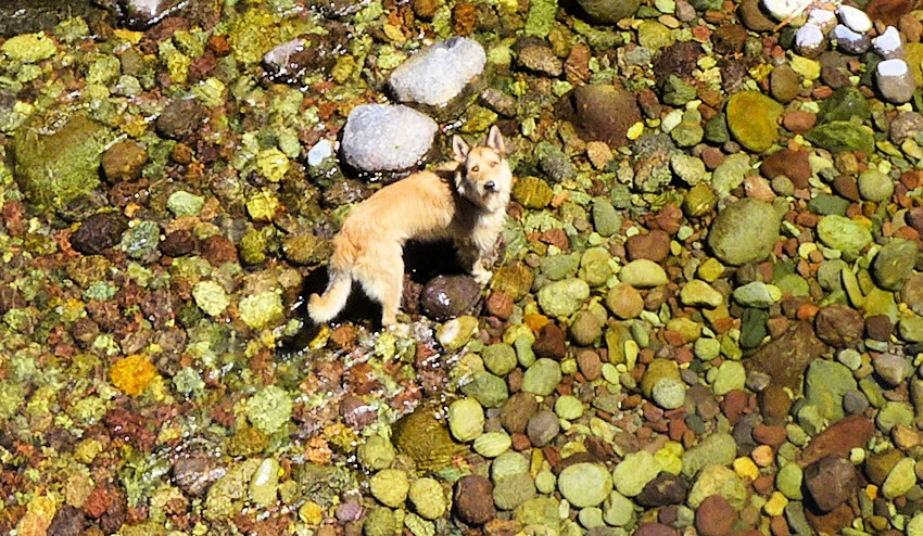 Genuesenbr�cke T-3a