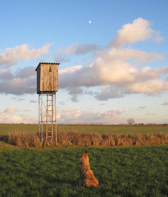 Herbstimpressionen 1a
