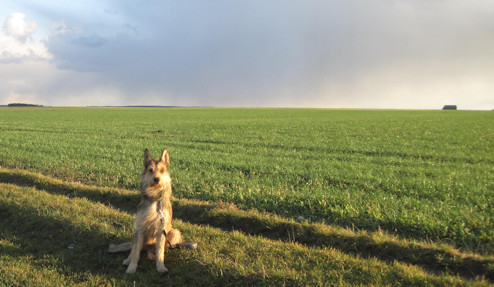 Herbstimpressionen 2a