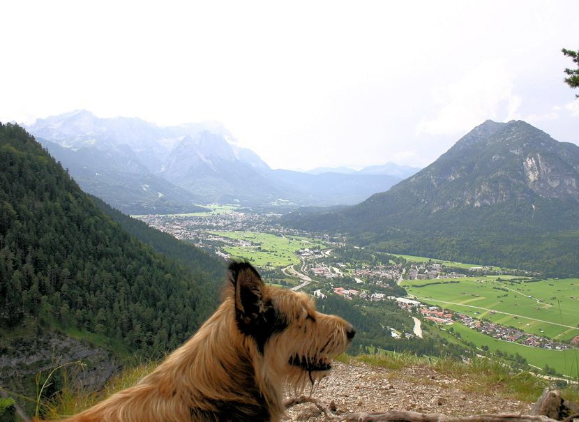 Hoher Fricken Aussicht 2a