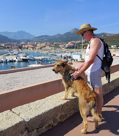 Ile Rousse, Yachthafen a