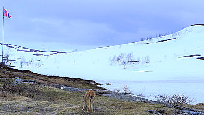 Korgfjellet 4