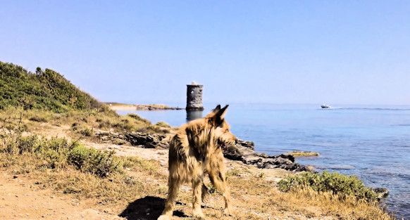 Korsika Z�llnerpfad 3a