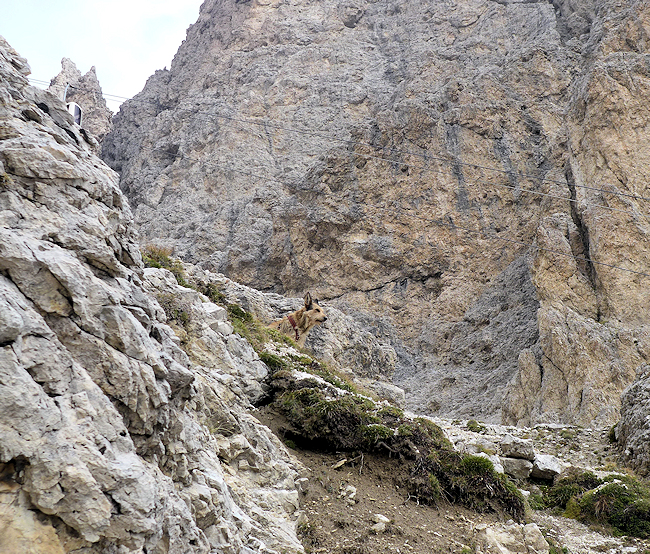 Langkofel Aufstieg 2