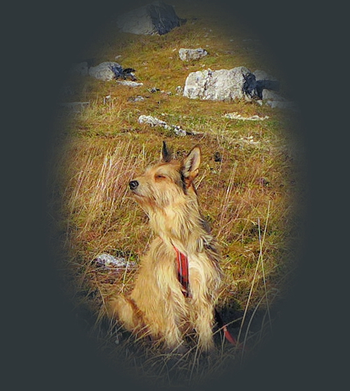 M in der Abendsonne 2