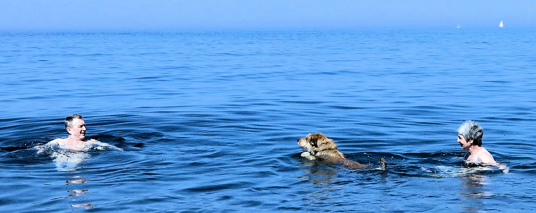 Marine d�albo , Baden1a