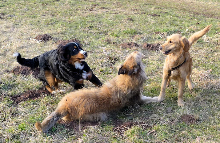 Max Luna und Sandy a