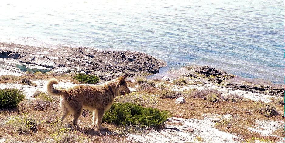 Max auf der Suche nach Eid.1a