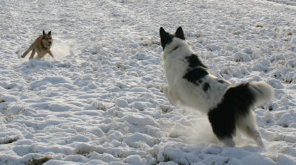 Max im Schnee - 3a