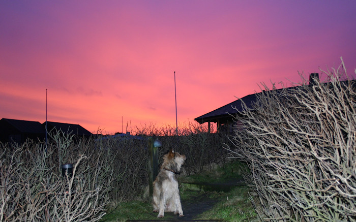 Morgend�mmerung 2a