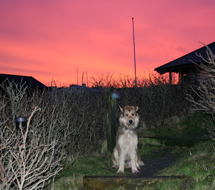 Morgend�mmerung 3aa