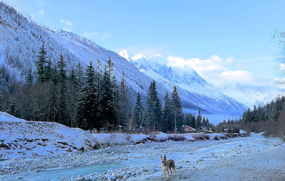 Morgenspaziergang 1aa