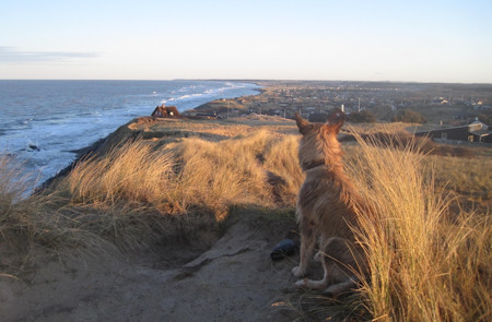 Morgenspaziergang 5a