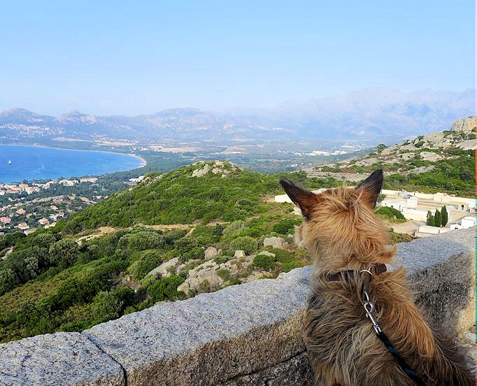 Notre Dame de la Stella 1a