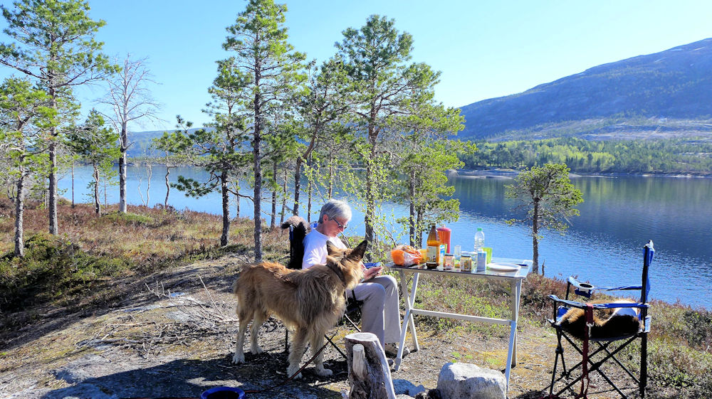 Sardnesvatnet 2 Tag 10