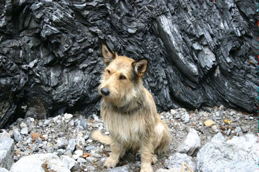 Schiefertonaufschluss a