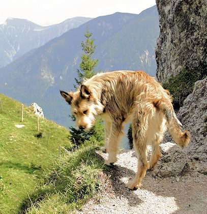 Schleifm-P�rschl 5a