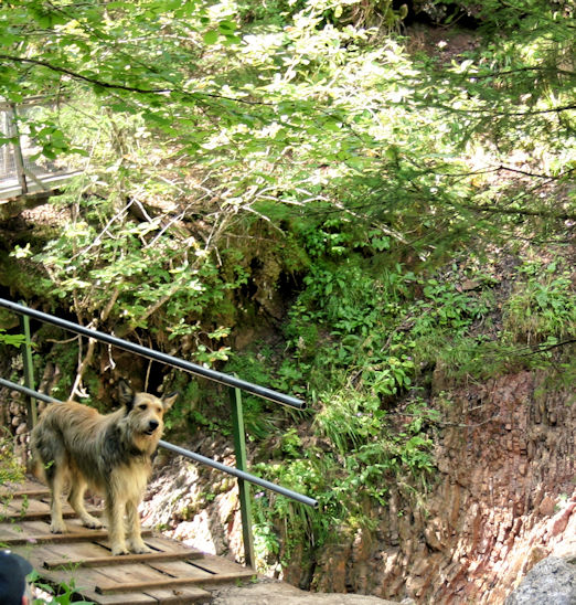 Schleifm�hlenklamm 1a