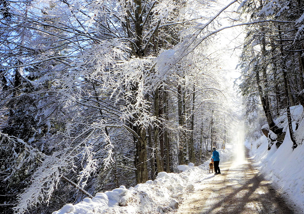 Schneechaos-Sonne 3a