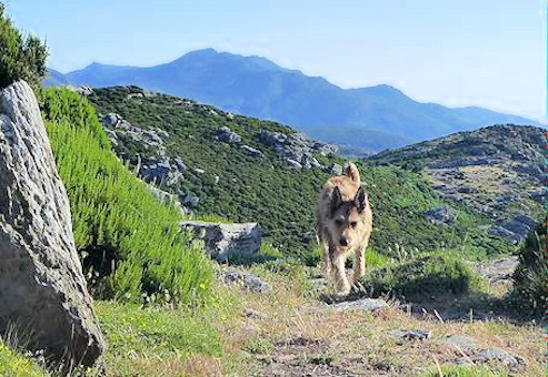 Serra di Pigno, Max 3aa