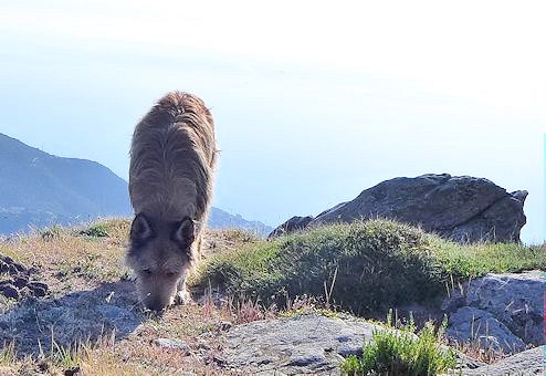 Serra di Pigno, Max 4a