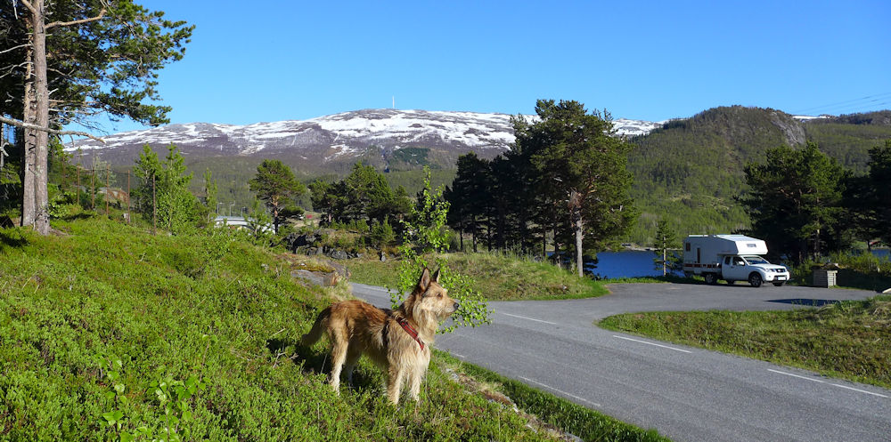 Skjierstadfjord 1 Tag 8