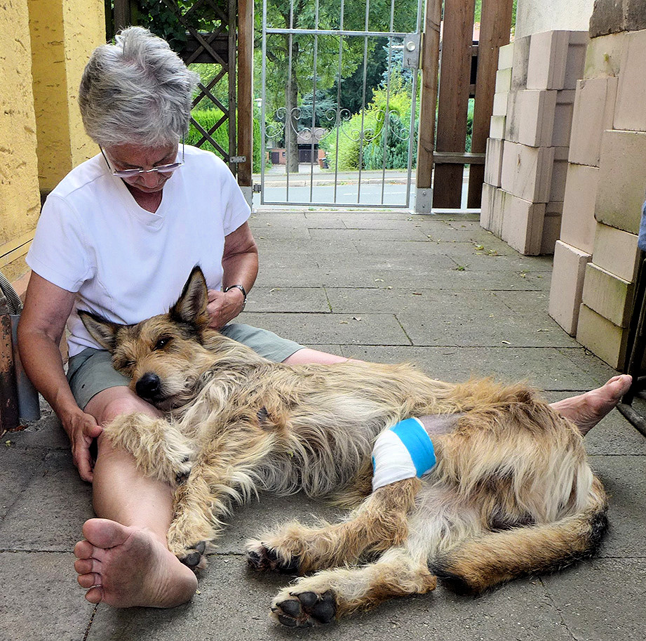 Streicheleinheiten 1aa