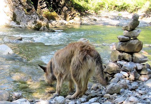 Trinkpause Halblech a