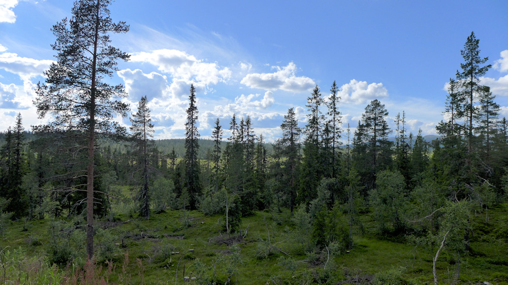 Trysil �bernachtungsplatz