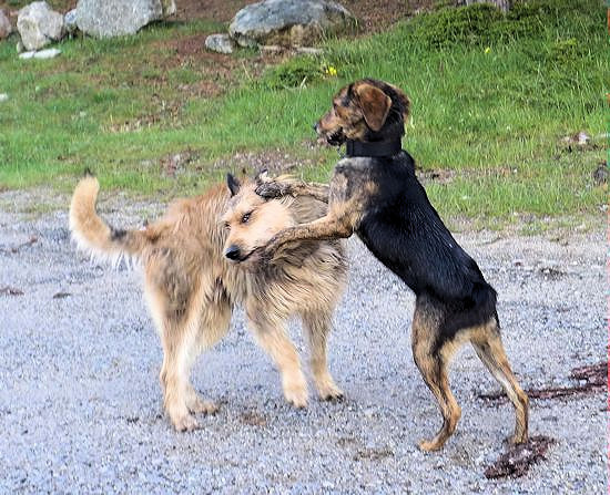 Urlaubsbekanntschaft 1a