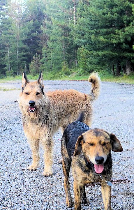 Urlaubsbekanntschaft 2a