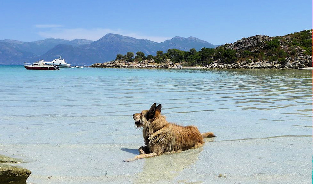 Wanderung plage de Lotu, Max im Pool  a