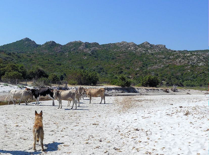 Wanderung plage de Lotu 1a