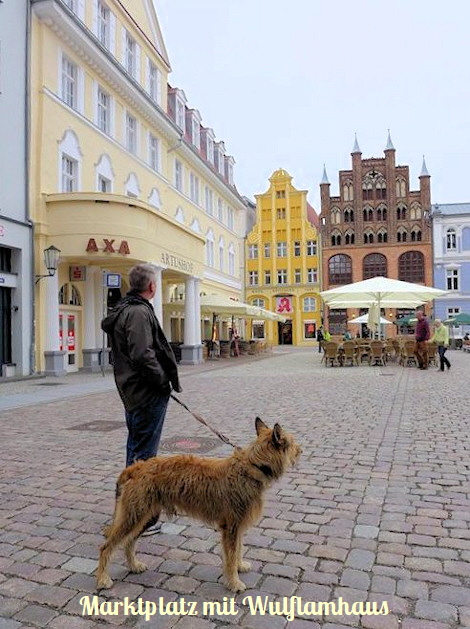 Stralsund Wulflamhaus a1a