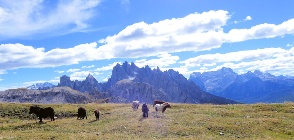 cadinspitzen und Ponys