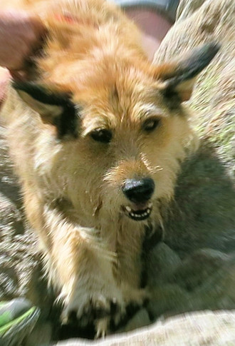 costello abstieg 5aa