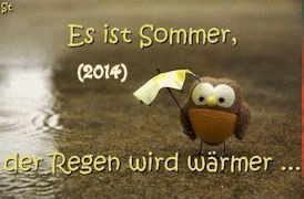 sommer 2014 b